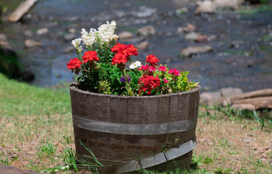 Plant Flowers in a Barrel