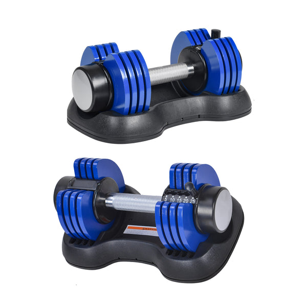 Adjustable Dumbbell Fitness Dumbbell with Handle and Weight Plate for Home Gym Note: Two