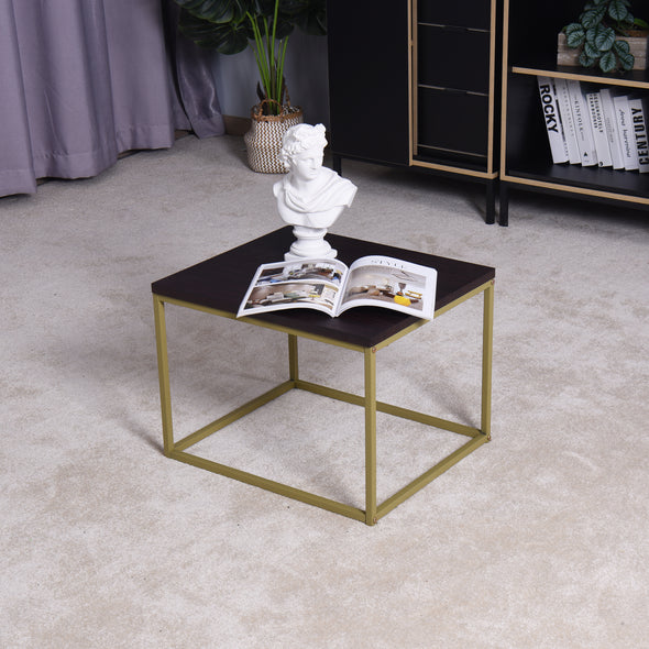 Living Room Coffee Table with MDF Top, Nesting Table with Metal Legs