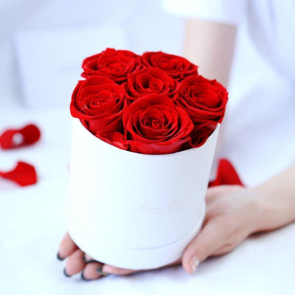 Rose with Hug Bucket Romantic Gift - Bestgoodshop