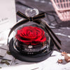 Real Rose Home Decor With LED in Glass - Bestgoodshop