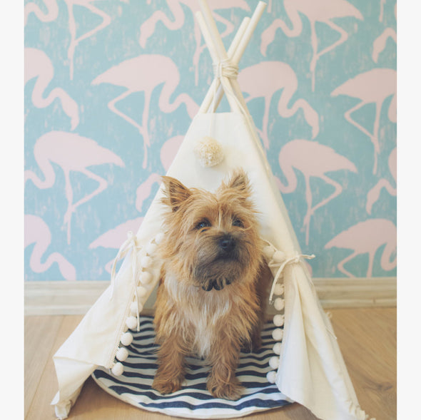 Pet Tent Bed Dog Cat - Bestgoodshop