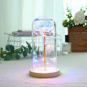 Rose Flower in Glass LED Light - Bestgoodshop