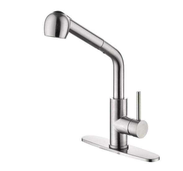 Kitchen Faucets with Pull Down Sprayer, Single Handle Kitchen Sink Faucet with Pull Out Sprayer, Brushed Nickel