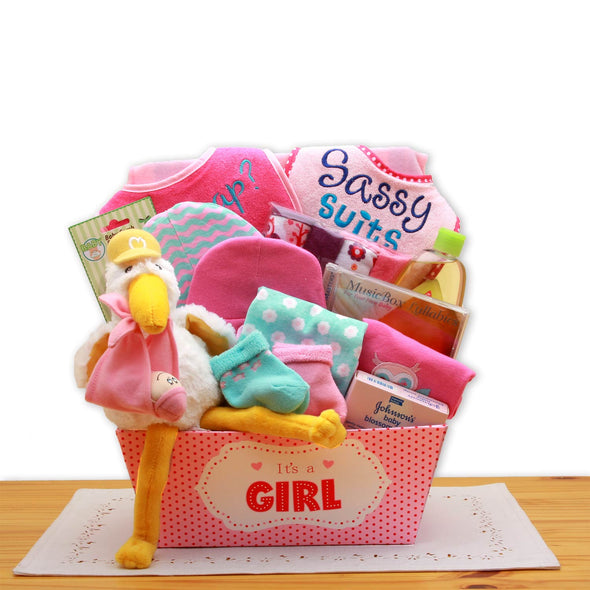 A Special Delivery  New Baby Gift Basket- Pink