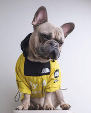 Full Rainproof Dog Jacket Large Dog - Bestgoodshop