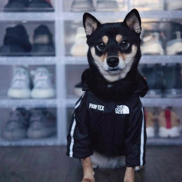 Full Rainproof Dog Jacket Large Dog - Bestgoodshop